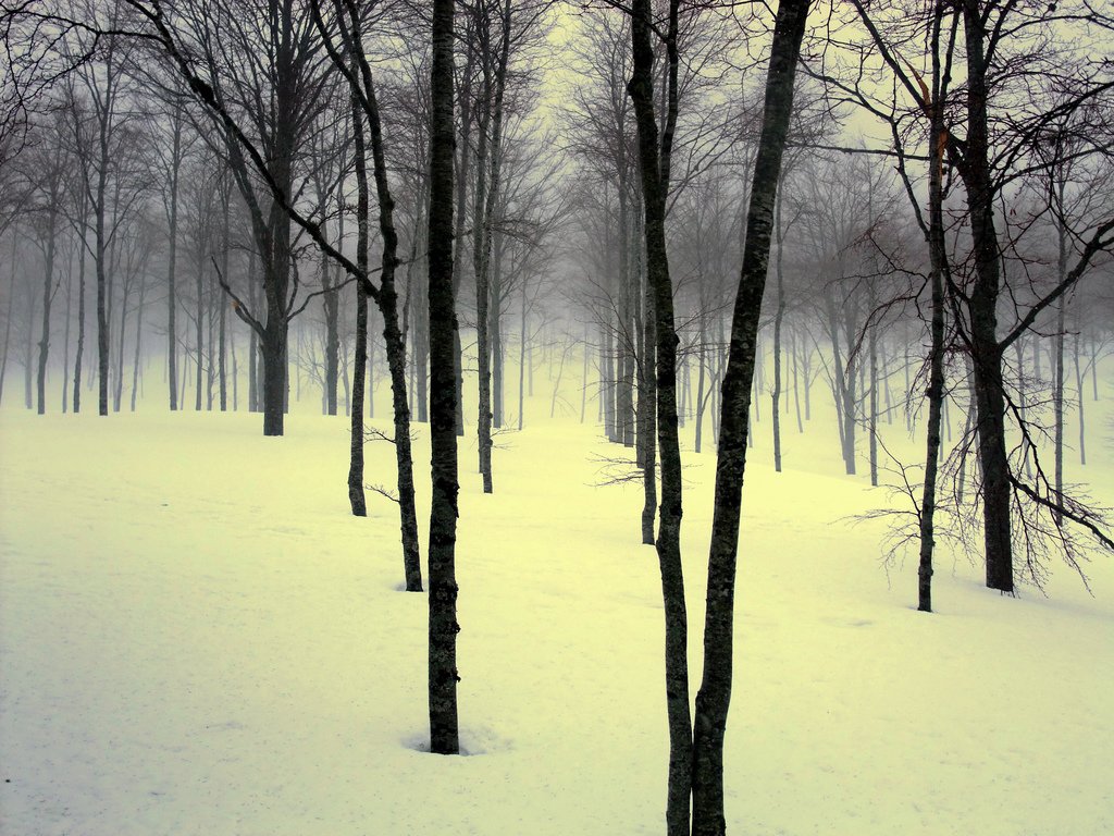 一组漂亮的冬季雪景照片欣赏