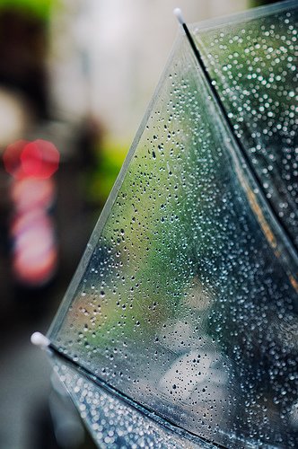 摄影欣赏：雨伞下的风景