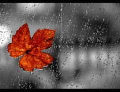 20张美丽的雨景摄影作品