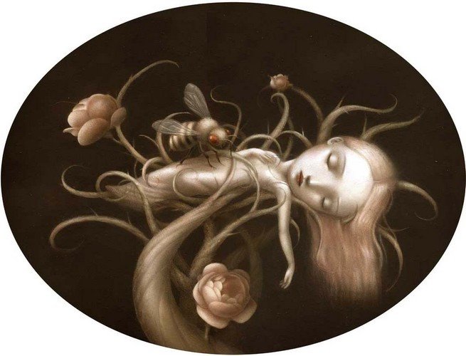 意大利女插画师Nicoletta Ceccoli作品欣赏