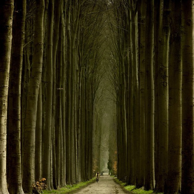 荷兰摄影师Lars Van De Goor美丽迷人的风景摄影作品