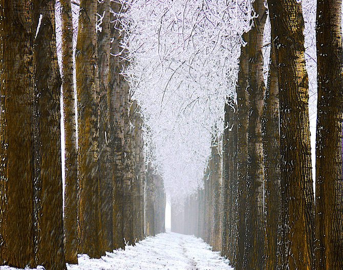 荷兰摄影师Lars Van De Goor美丽迷人的风景摄影作品