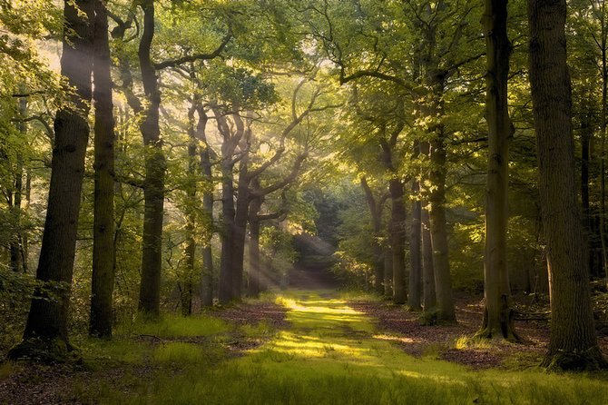 荷兰摄影师Lars Van De Goor美丽迷人的风景摄影作品