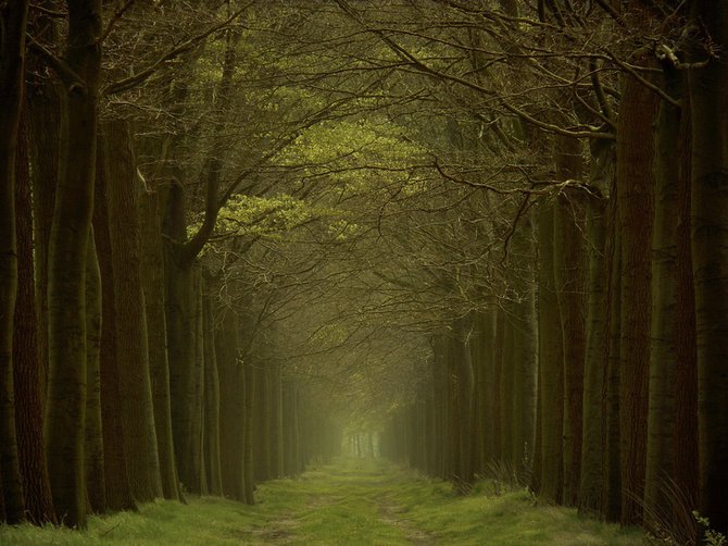 荷兰摄影师Lars Van De Goor美丽迷人的风景摄影作品