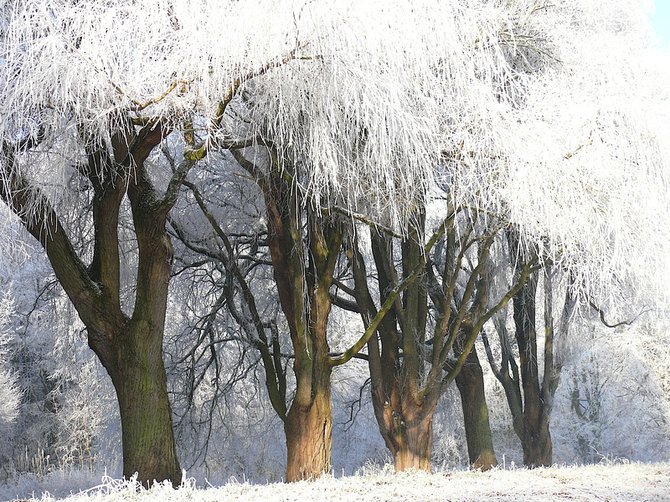 荷兰摄影师Lars Van De Goor美丽迷人的风景摄影作品