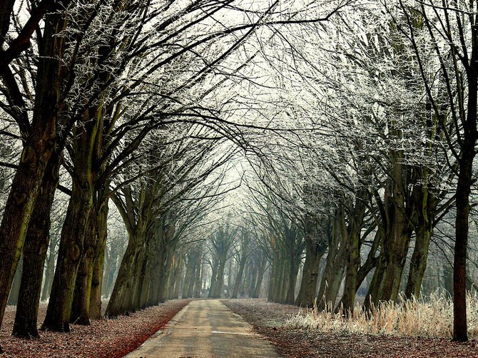 荷兰摄影师Lars Van De Goor美丽迷人的风景摄影作品