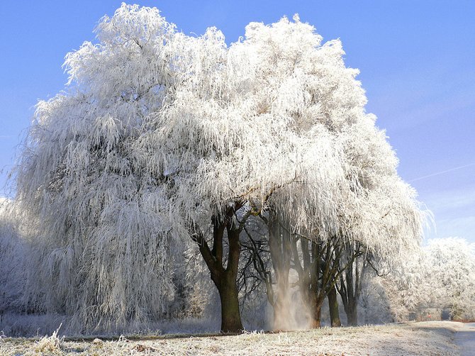 荷兰摄影师Lars Van De Goor美丽迷人的风景摄影作品