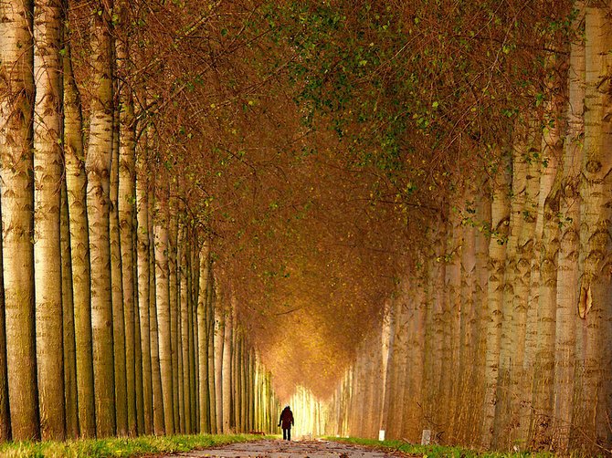 荷兰摄影师Lars Van De Goor美丽迷人的风景摄影作品