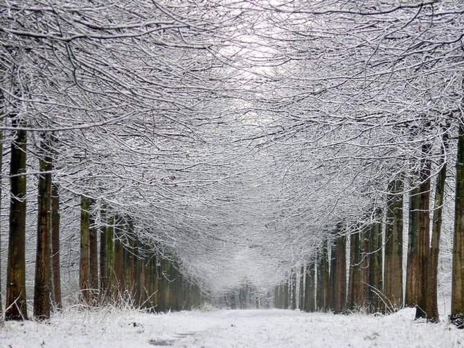 荷兰摄影师Lars Van De Goor美丽迷人的风景摄影作品