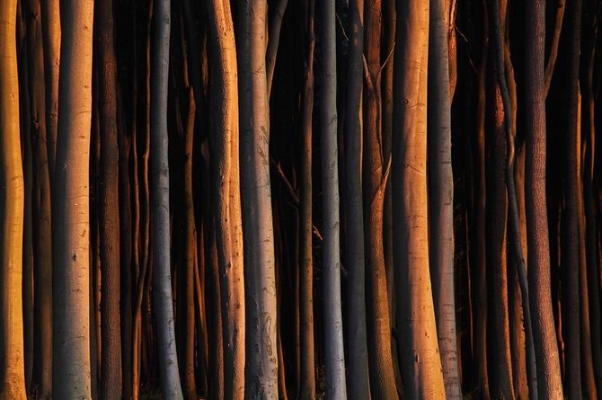 Sandra超美自然风光摄影作品