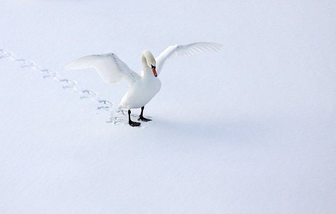 Sandra超美自然风光摄影作品
