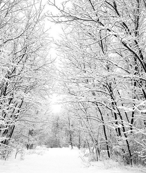 50张冬季摄影佳作欣赏