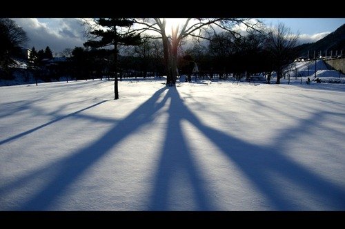50张冬季摄影佳作欣赏