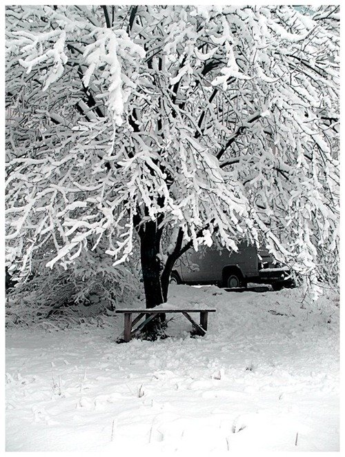 50张冬季摄影佳作欣赏