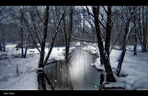 50张冬季摄影佳作欣赏