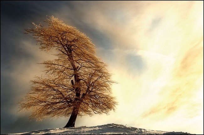 罗马尼亚摄影师Cornel&nbsp;Pufan人文风光摄影作品