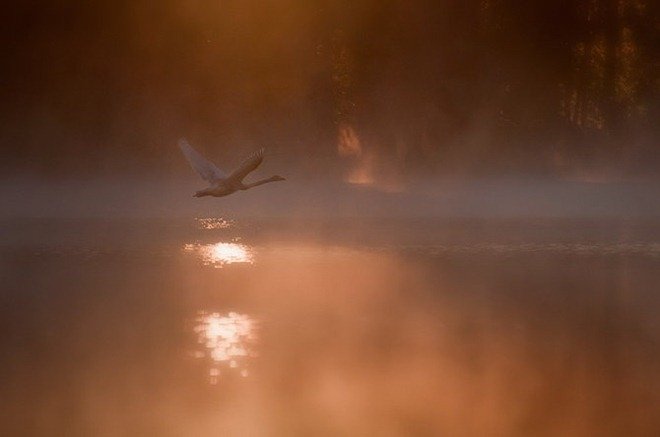 芬兰摄影师Mikko Lagerstedt作品欣赏