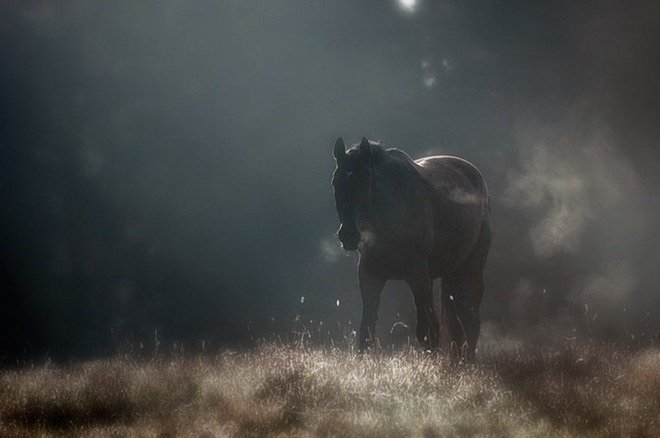 芬兰摄影师Mikko Lagerstedt作品欣赏