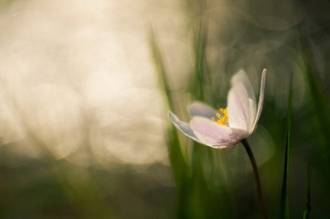 芬兰摄影师Mikko Lagerstedt作品欣赏