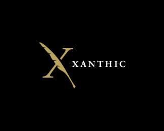 字母"X"的标志设计欣赏