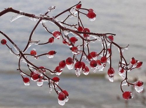 多雪的冬季摄影作品欣赏