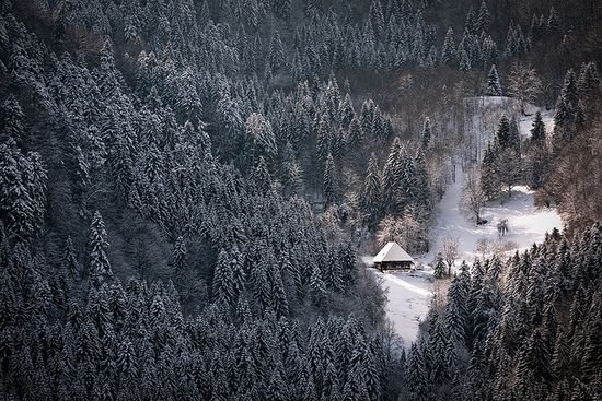 多雪的冬季摄影作品欣赏