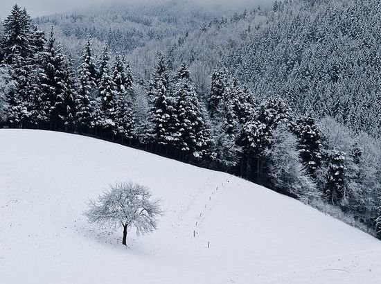 多雪的冬季摄影作品欣赏