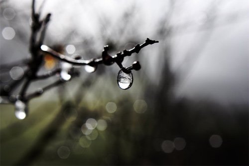 33张晶莹清灵的水珠摄影欣赏