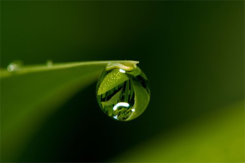 33张晶莹清灵的水珠摄影欣赏