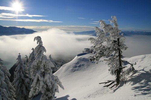冬天雪景照片欣赏