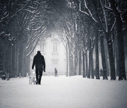 冬天雪景照片欣赏