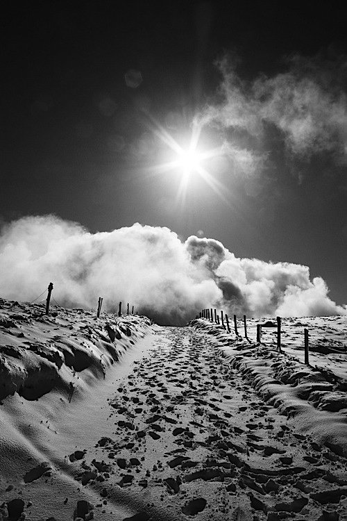 仙境般的黑白雪景照片