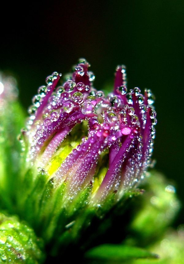 水摄影