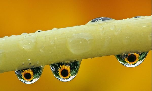 水摄影