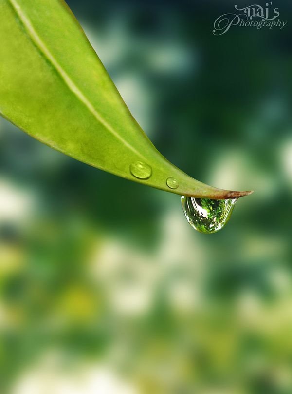 水摄影