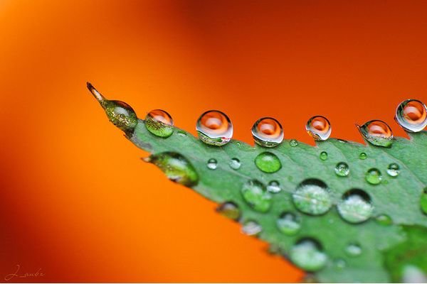水摄影