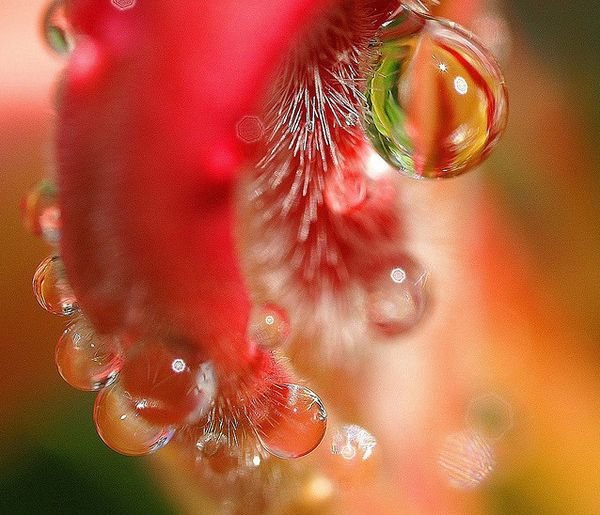 水摄影