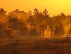 芬兰摄影师PetriVolanen自然摄影作品