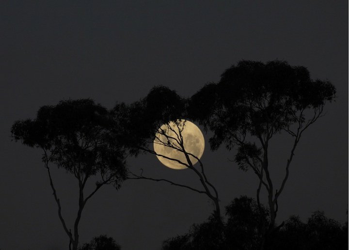 10张完美的超级月亮（Supermoon）摄影图片