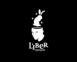 标志设计元素运用实例：兔子