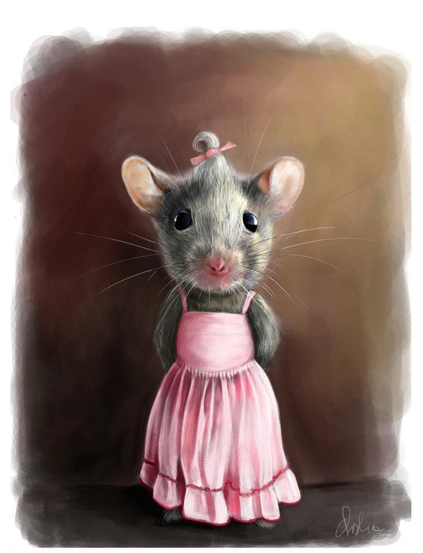 Malgorzata Arska可爱的动物插画