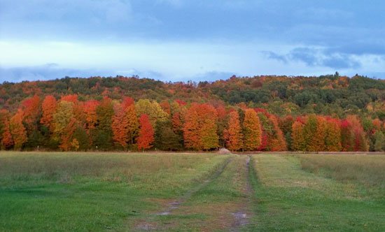 风光摄影欣赏：秋天的调色板