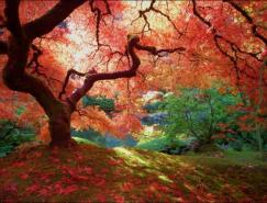 风光摄影欣赏：秋天的色彩