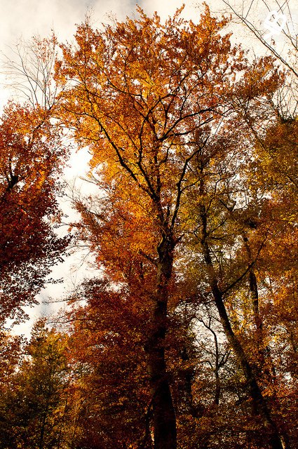 70张美丽的秋天风光摄影