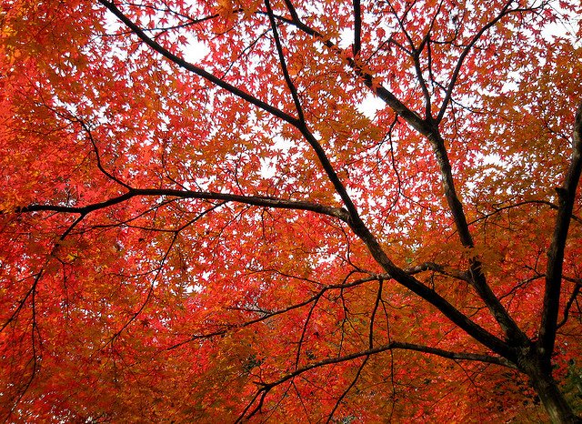 70张美丽的秋天风光摄影