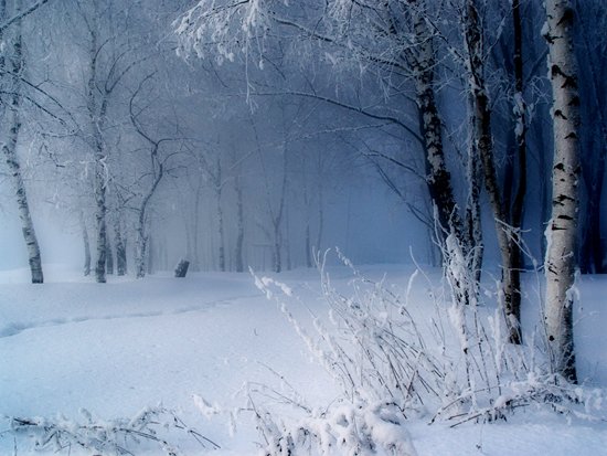 冬天雪景摄影作品