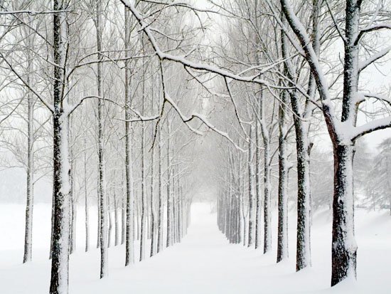 冬天雪景摄影作品
