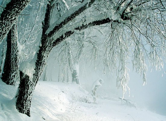 冬天雪景摄影作品