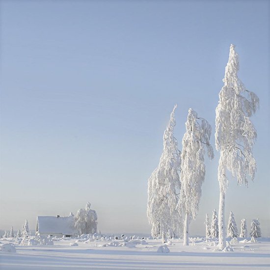 冬天雪景摄影作品