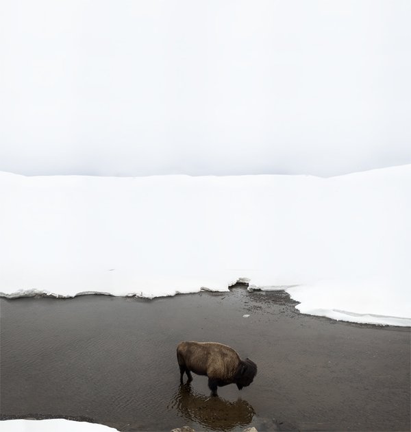 白色的地平线：Michael Zimmerer唯美雪景摄影